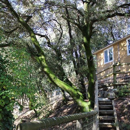 Willa Le Domaine Du Naizadou Chalet Lou Grilh La Barriére Zewnętrze zdjęcie