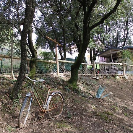 Willa Le Domaine Du Naizadou Chalet Lou Grilh La Barriére Zewnętrze zdjęcie