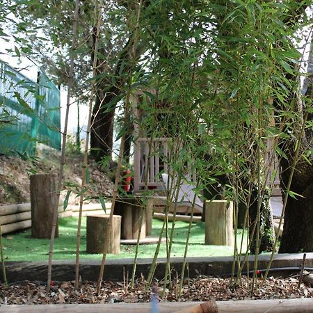 Willa Le Domaine Du Naizadou Chalet Lou Grilh La Barriére Zewnętrze zdjęcie