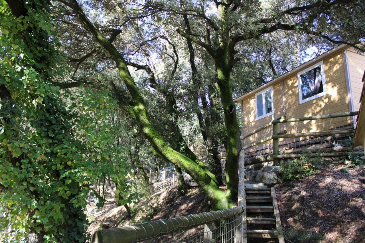 Willa Le Domaine Du Naizadou Chalet Lou Grilh La Barriére Zewnętrze zdjęcie