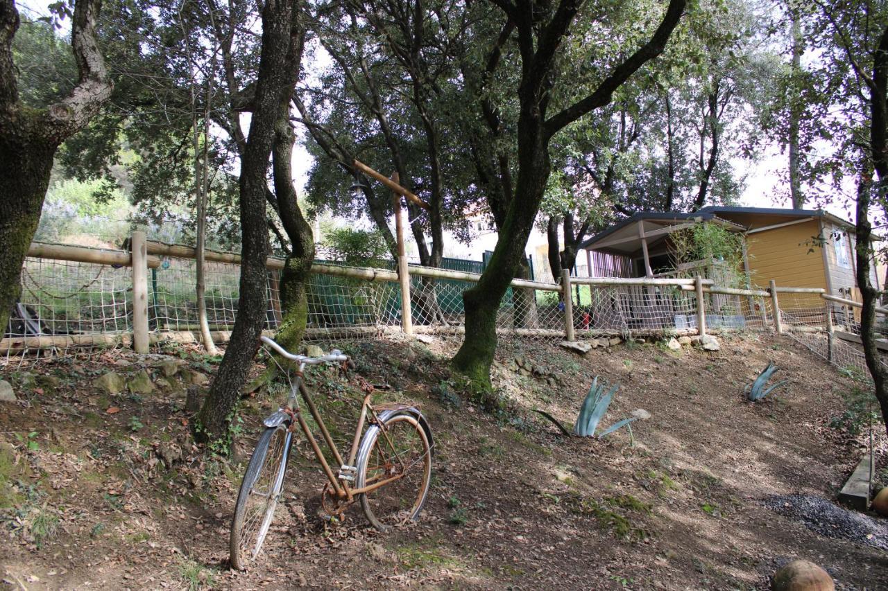 Willa Le Domaine Du Naizadou Chalet Lou Grilh La Barriére Zewnętrze zdjęcie
