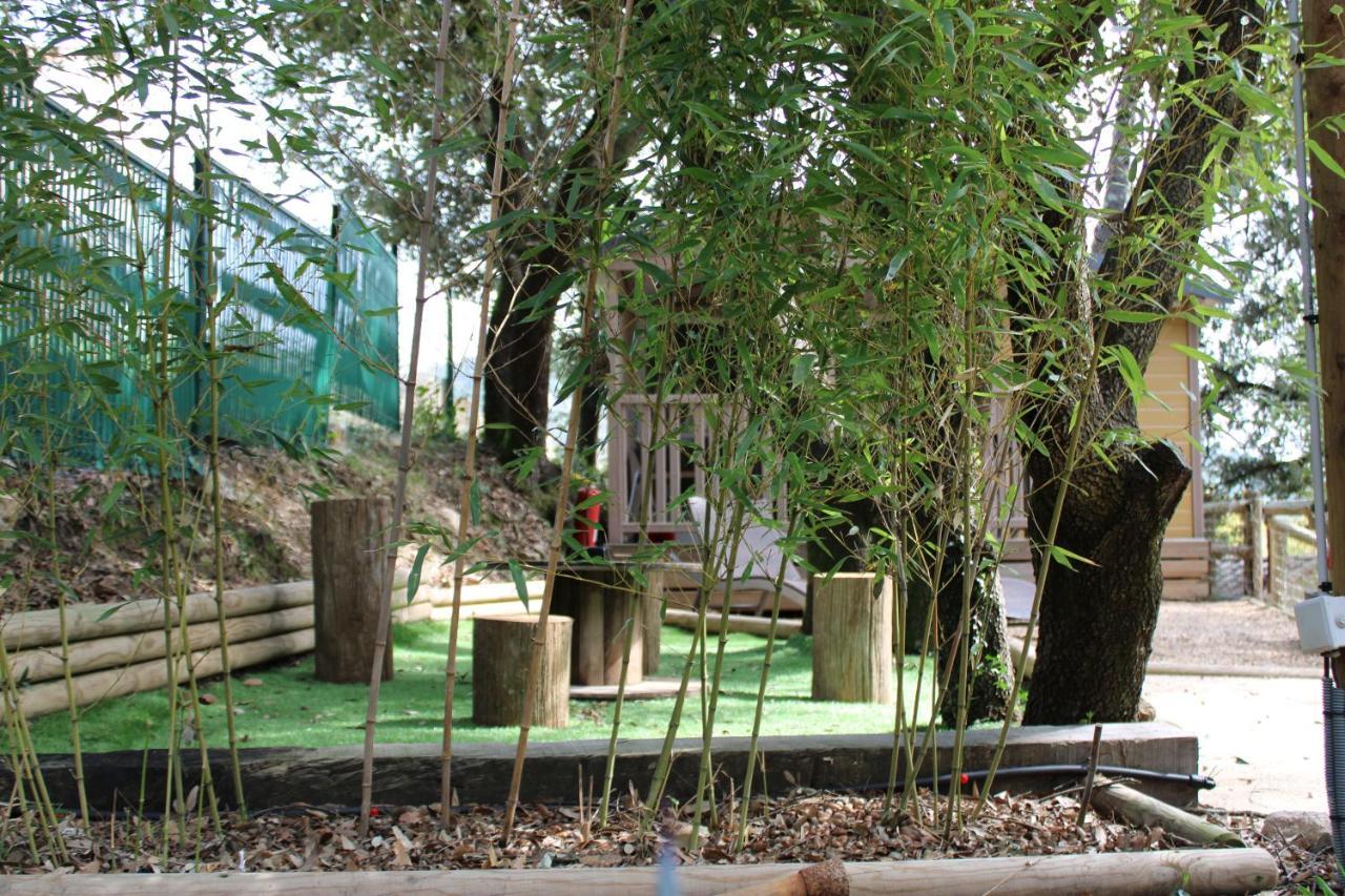 Willa Le Domaine Du Naizadou Chalet Lou Grilh La Barriére Zewnętrze zdjęcie